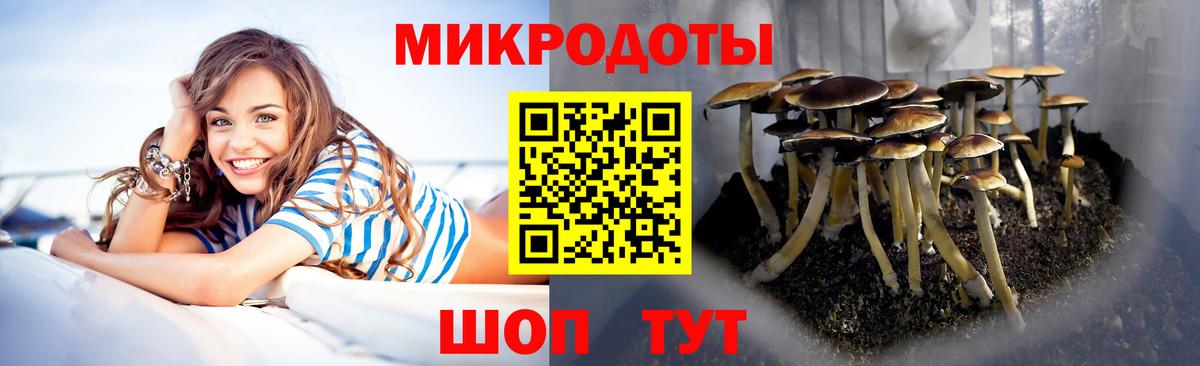 Псилоцибиновые грибы прущие грибы Туймазы